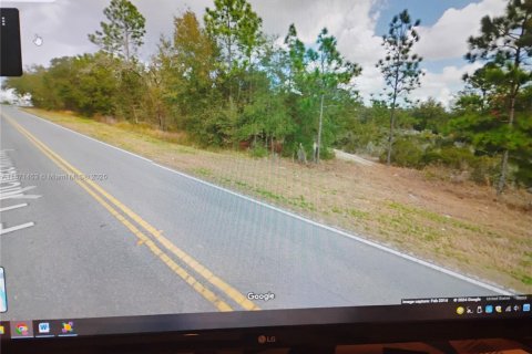 Terrain à vendre à Palatka, Floride № 1923536 - photo 7