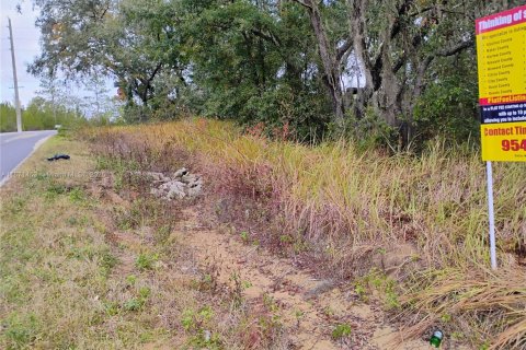 Terrain à vendre à Palatka, Floride № 1923536 - photo 4