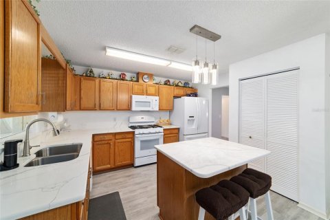 Villa ou maison à vendre à Ocala, Floride: 3 chambres, 161.84 m2 № 1904563 - photo 25