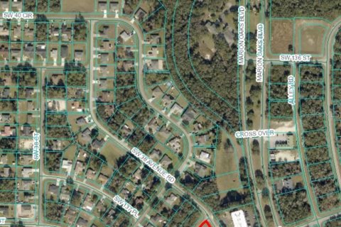 Terreno en venta en Ocala, Florida № 1635821 - foto 2