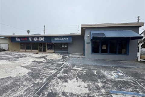 Immobilier commercial à vendre à Madeira Beach, Floride: 253.16 m2 № 1751967 - photo 2