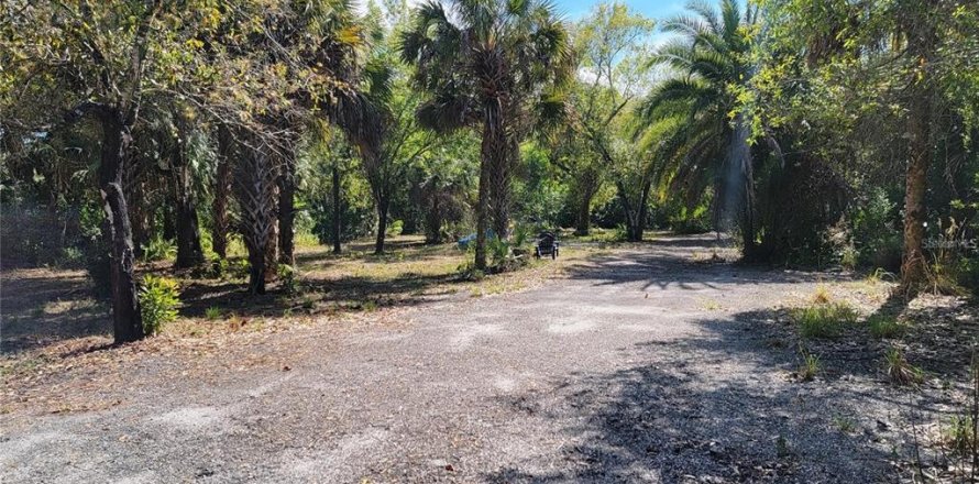 Commercial property in Punta Gorda, Florida № 1561750