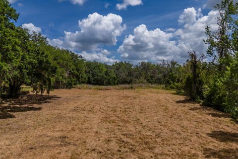 Terrain à vendre à Valrico, Floride № 1627043 - photo 8