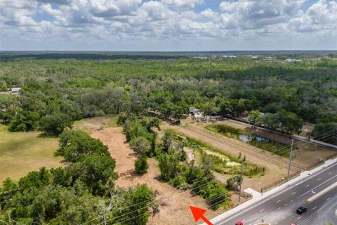 Terrain à vendre à Valrico, Floride № 1627043 - photo 14