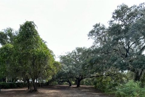 Terreno en venta en Summerfield, Florida № 879073 - foto 1