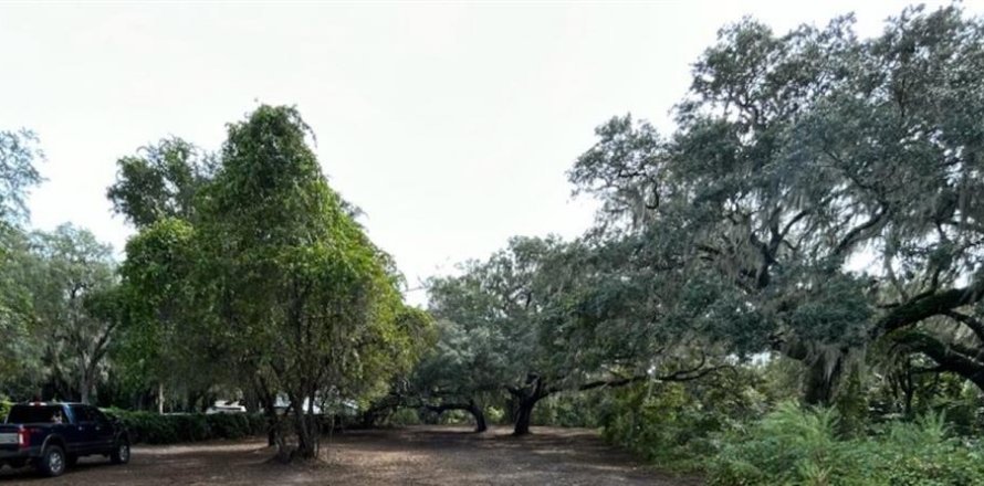 Terreno en Summerfield, Florida № 879073