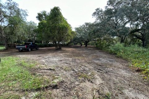 Terreno en venta en Summerfield, Florida № 879073 - foto 2