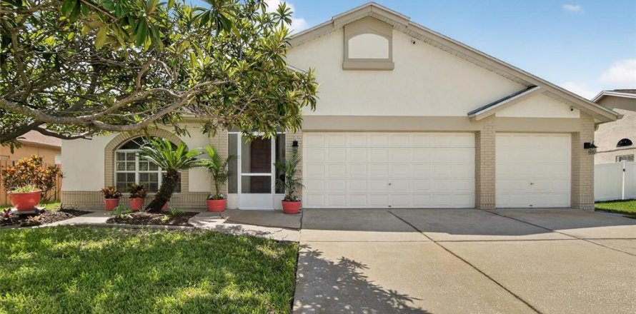 House in Riverview, Florida 3 bedrooms, 245.17 sq.m. № 1910719