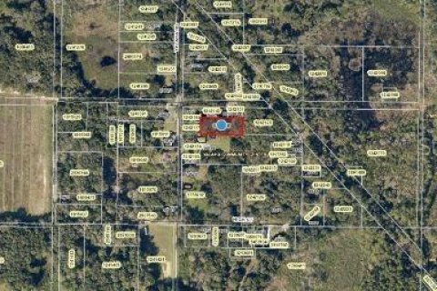 Land in Yalaha, Florida № 2163498 - photo 6