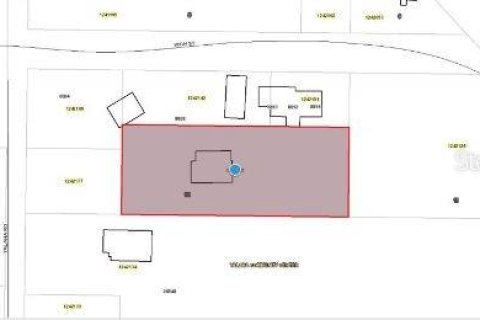 Land in Yalaha, Florida № 2163498 - photo 4