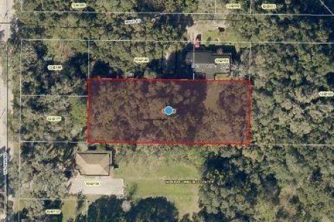 Land in Yalaha, Florida № 2163498 - photo 5