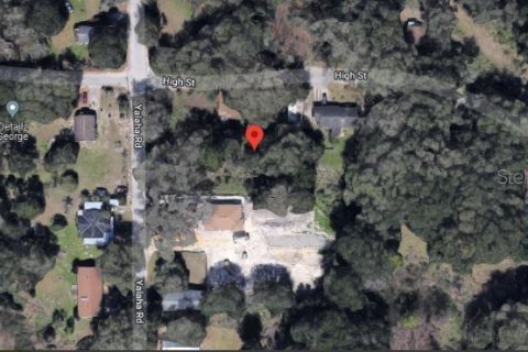 Land in Yalaha, Florida № 2163498 - photo 3