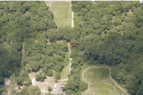 Land in Yalaha, Florida № 2163498 - photo 2