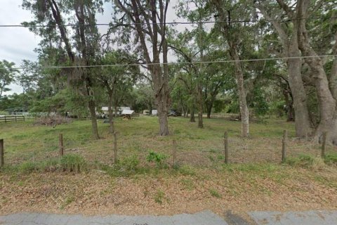Land in Yalaha, Florida № 2163498 - photo 7