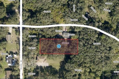 Land in Yalaha, Florida № 2163498