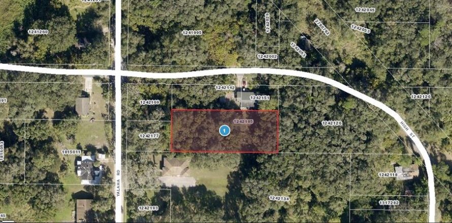Land in Yalaha, Florida № 2163498