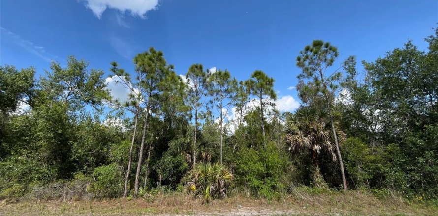 Land in Punta Gorda, Florida № 2160432