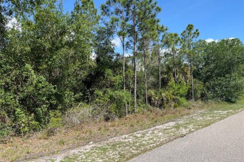 Land in Punta Gorda, Florida № 2160432 - photo 2