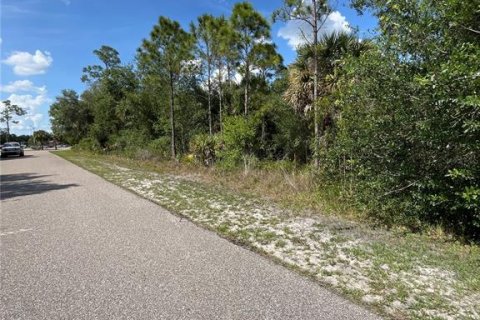 Land in Punta Gorda, Florida № 2160432 - photo 3