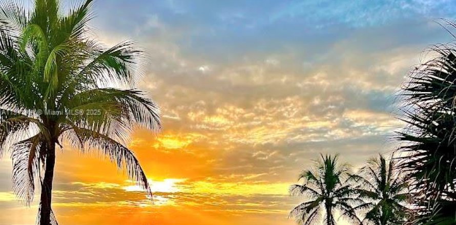 Studio in the Condo in Miami Beach, Florida  № 1973374