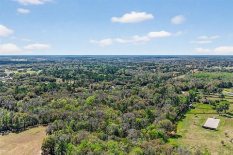 Terreno en venta en Reddick, Florida № 2329108 - foto 9