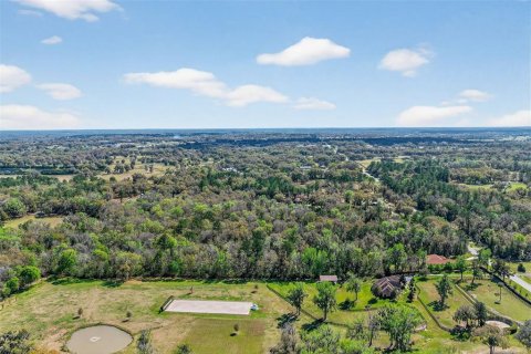 Terreno en venta en Reddick, Florida № 2329108 - foto 8