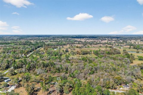 Terreno en venta en Reddick, Florida № 2329108 - foto 12