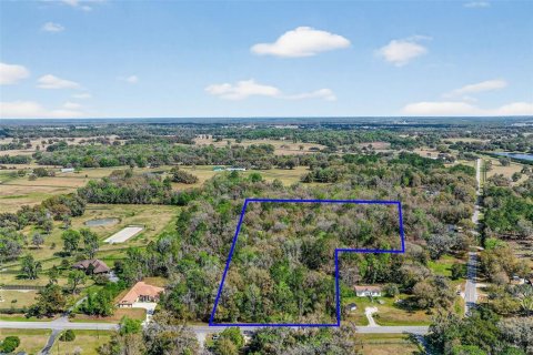 Land in Reddick, Florida № 2329108