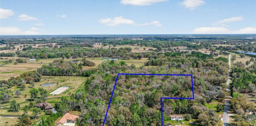 Terreno en Reddick, Florida № 2329108