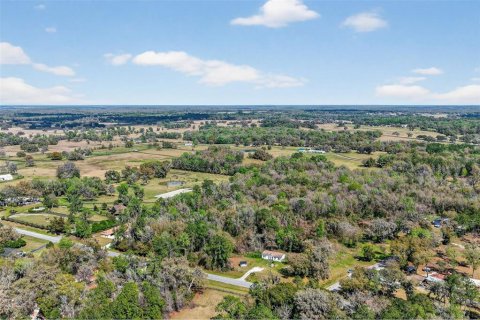 Terreno en venta en Reddick, Florida № 2329108 - foto 4