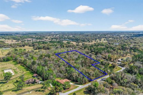 Terreno en venta en Reddick, Florida № 2329108 - foto 2
