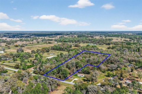 Terreno en venta en Reddick, Florida № 2329108 - foto 3