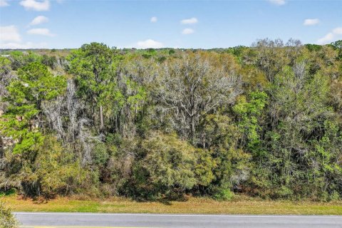Terreno en venta en Reddick, Florida № 2329108 - foto 5
