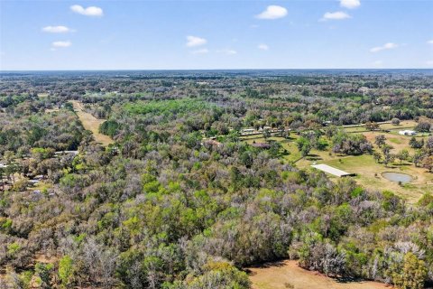 Terreno en venta en Reddick, Florida № 2329108 - foto 11