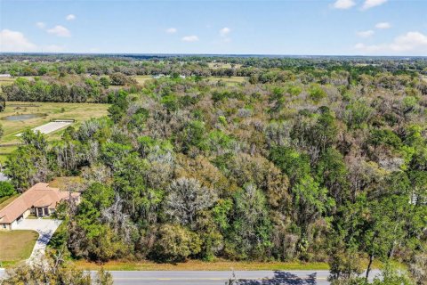 Terreno en venta en Reddick, Florida № 2329108 - foto 13