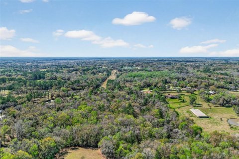 Terreno en venta en Reddick, Florida № 2329108 - foto 10
