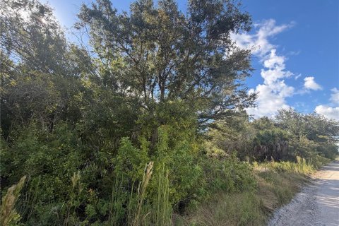 Land in Punta Gorda, Florida № 2352494