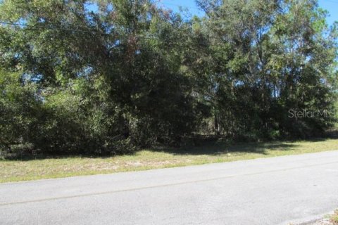 Terreno en venta en Ocklawaha, Florida № 2161484 - foto 10