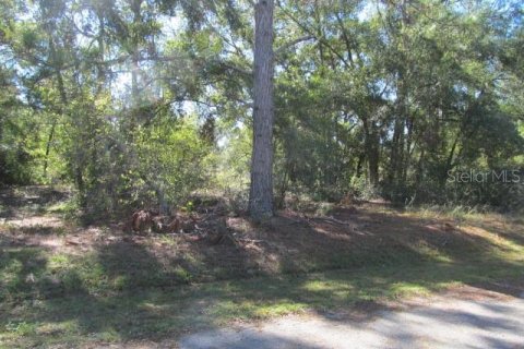 Terreno en venta en Ocklawaha, Florida № 2161484 - foto 3