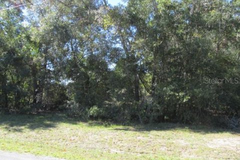 Terreno en venta en Ocklawaha, Florida № 2161484 - foto 8