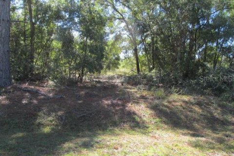 Terreno en venta en Ocklawaha, Florida № 2161484 - foto 5