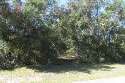 Terreno en venta en Ocklawaha, Florida № 2161484 - foto 9