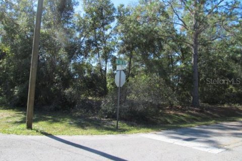 Terreno en venta en Ocklawaha, Florida № 2161484 - foto 2