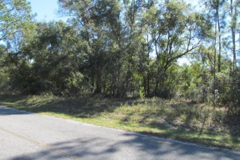 Land in Ocklawaha, Florida № 2161484