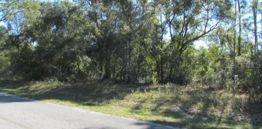 Terreno en Ocklawaha, Florida № 2161484