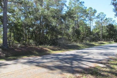 Terreno en venta en Ocklawaha, Florida № 2161484 - foto 4