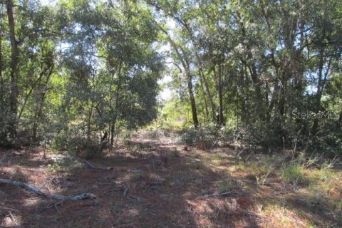 Terreno en venta en Ocklawaha, Florida № 2161484 - foto 6