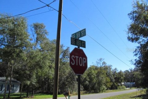 Terreno en venta en Ocklawaha, Florida № 2161484 - foto 7
